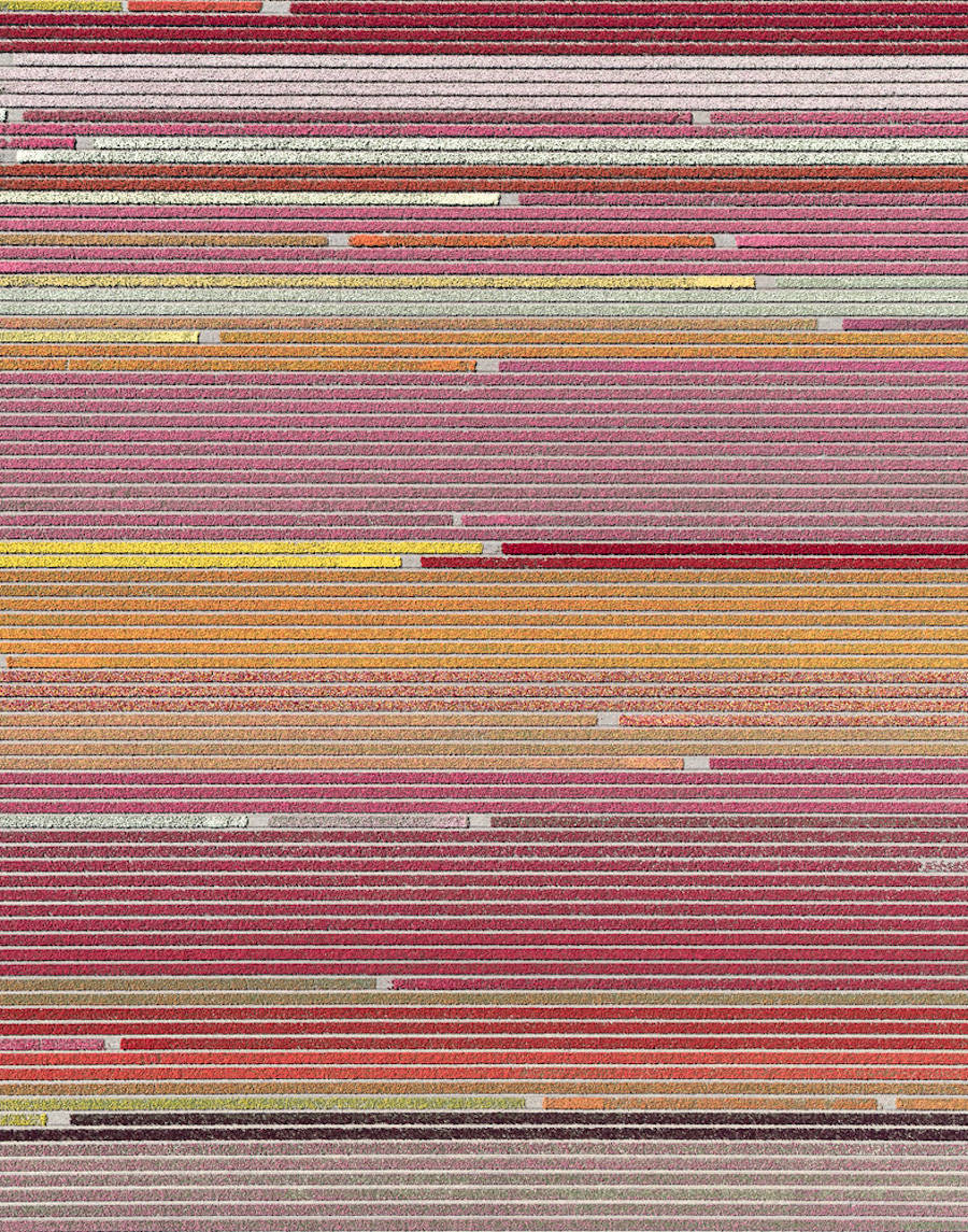 20160729_084408_066