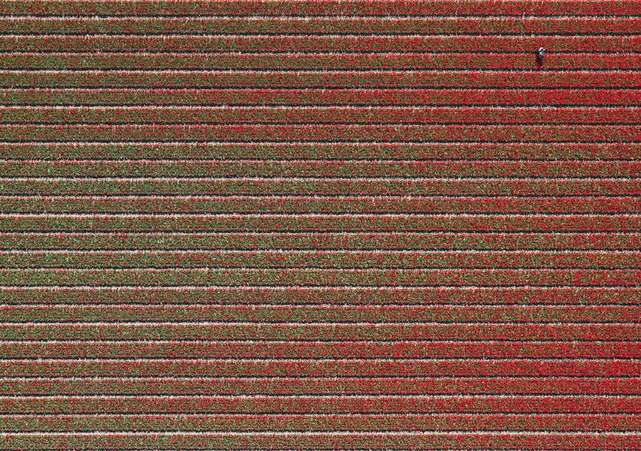 20160729_084408_082