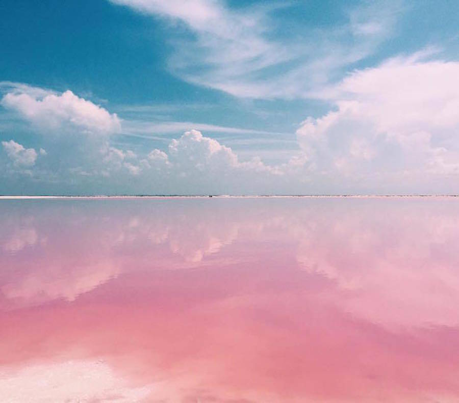 Pink Lagoon